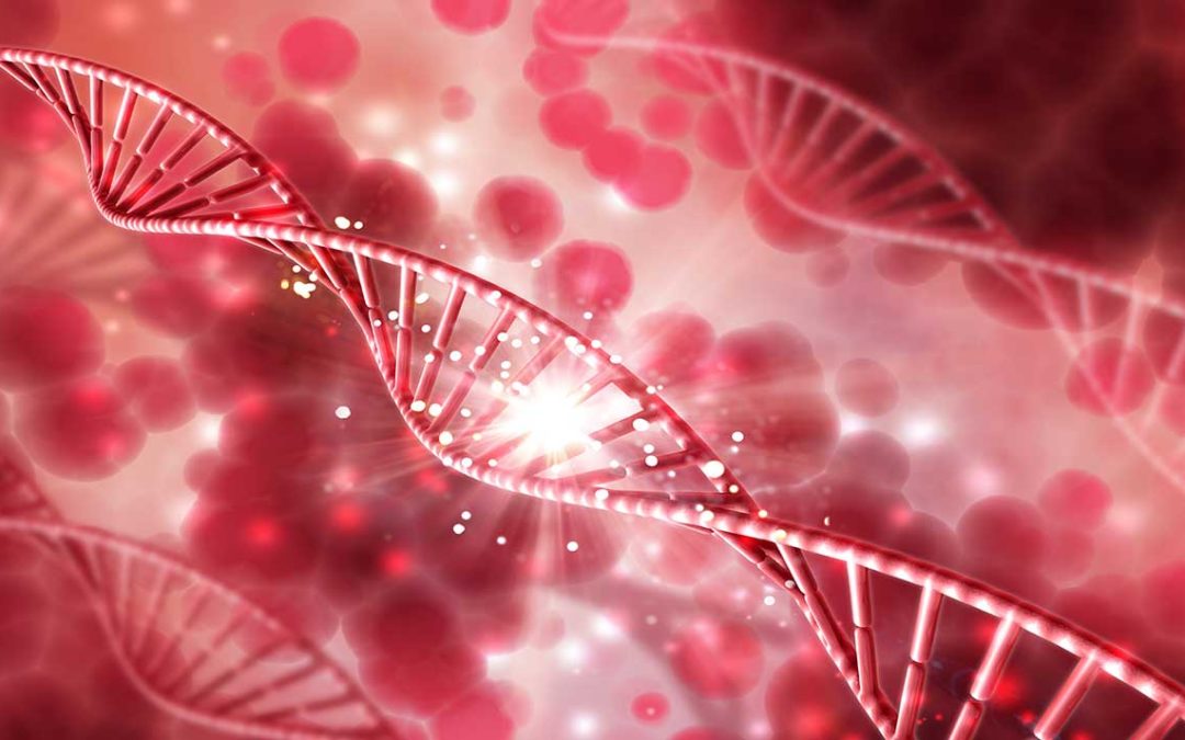 “Exheus” Inteligencia Artificial que mejora tu salud y rendimiento deportivo